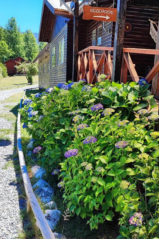 Zahrada ubytování La Casona Caburgua