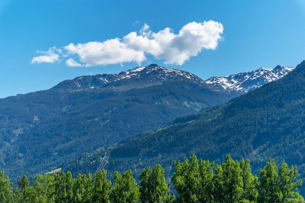 Príroda v okolí apartmánu