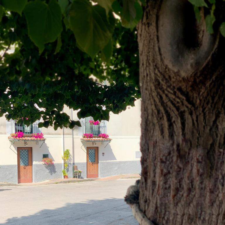 Budova, v ktorej sa ubytovanie bed & breakfast nachádza