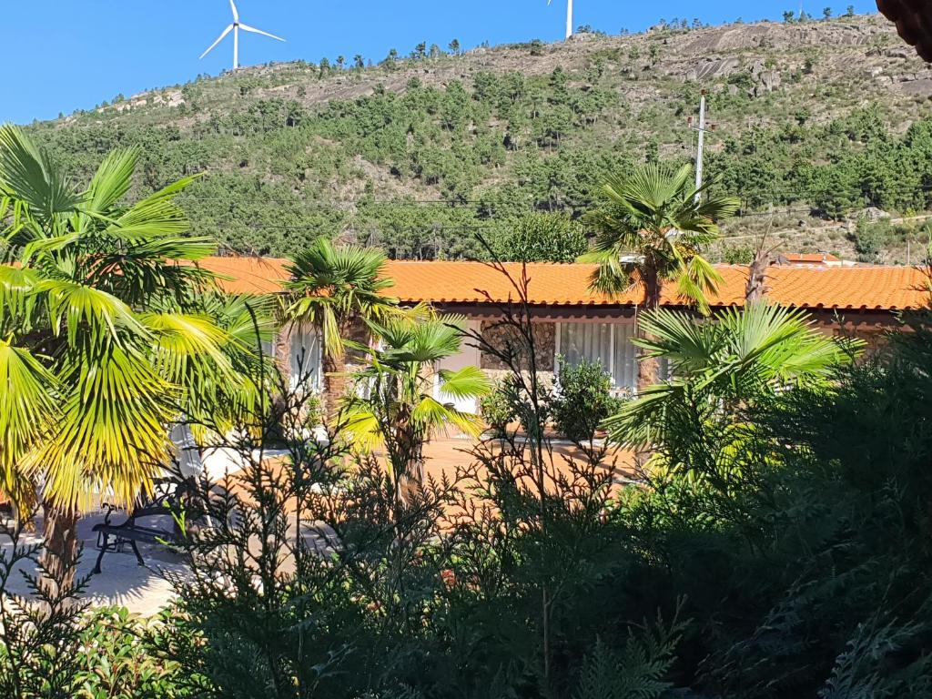 una casa con palmeras frente a una montaña en Gojim Casa Rural, en Armamar