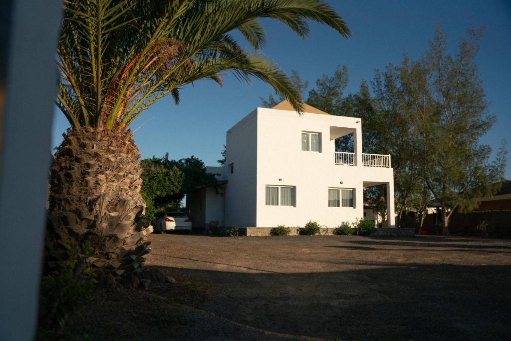 un palmier devant une maison blanche dans l'établissement La Milagrosa Surf House & CoWork, à Lajares