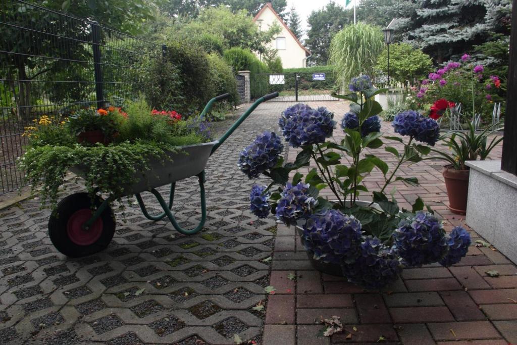 Zahrada ubytování Pension-Eula