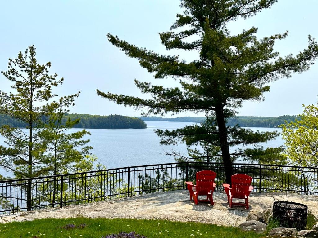 two red chairs sitting next to a tree and a lake at Breathtaking view of Lake Rosseau in Rosseau