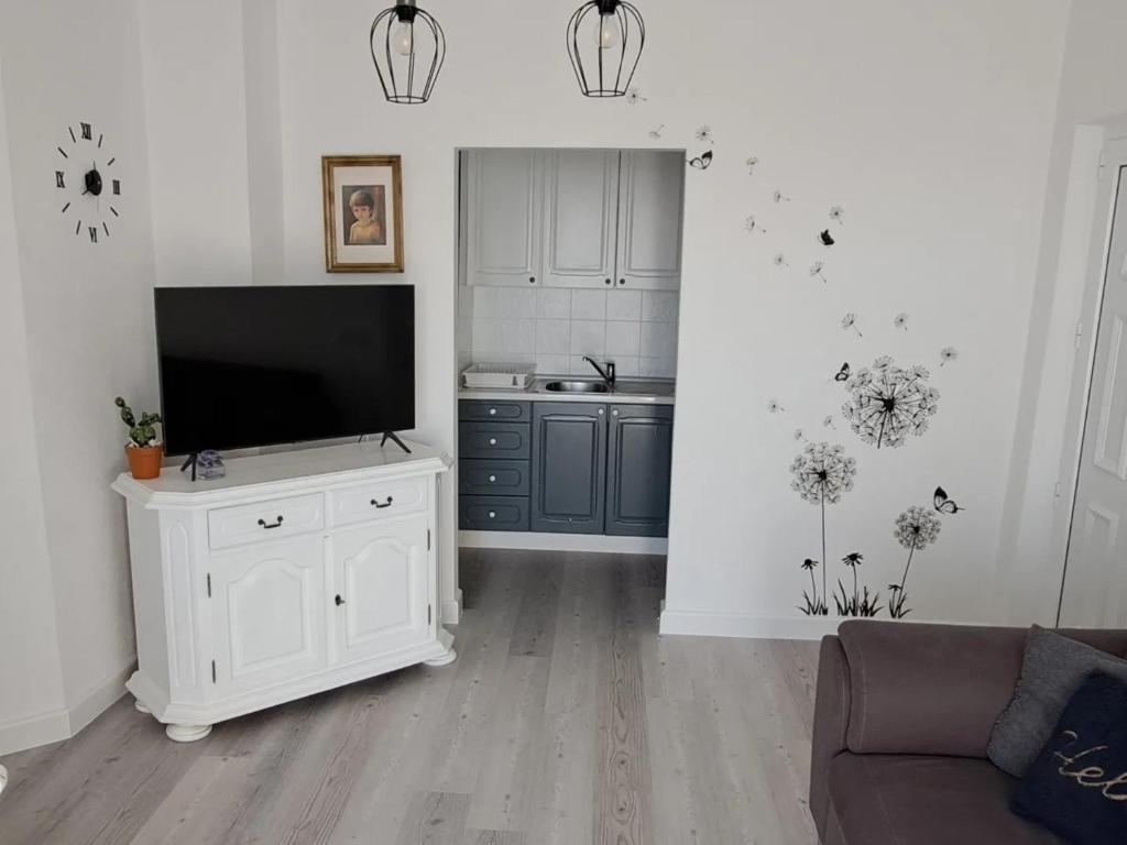 TV a/nebo společenská místnost v ubytování Apartman Jurčević