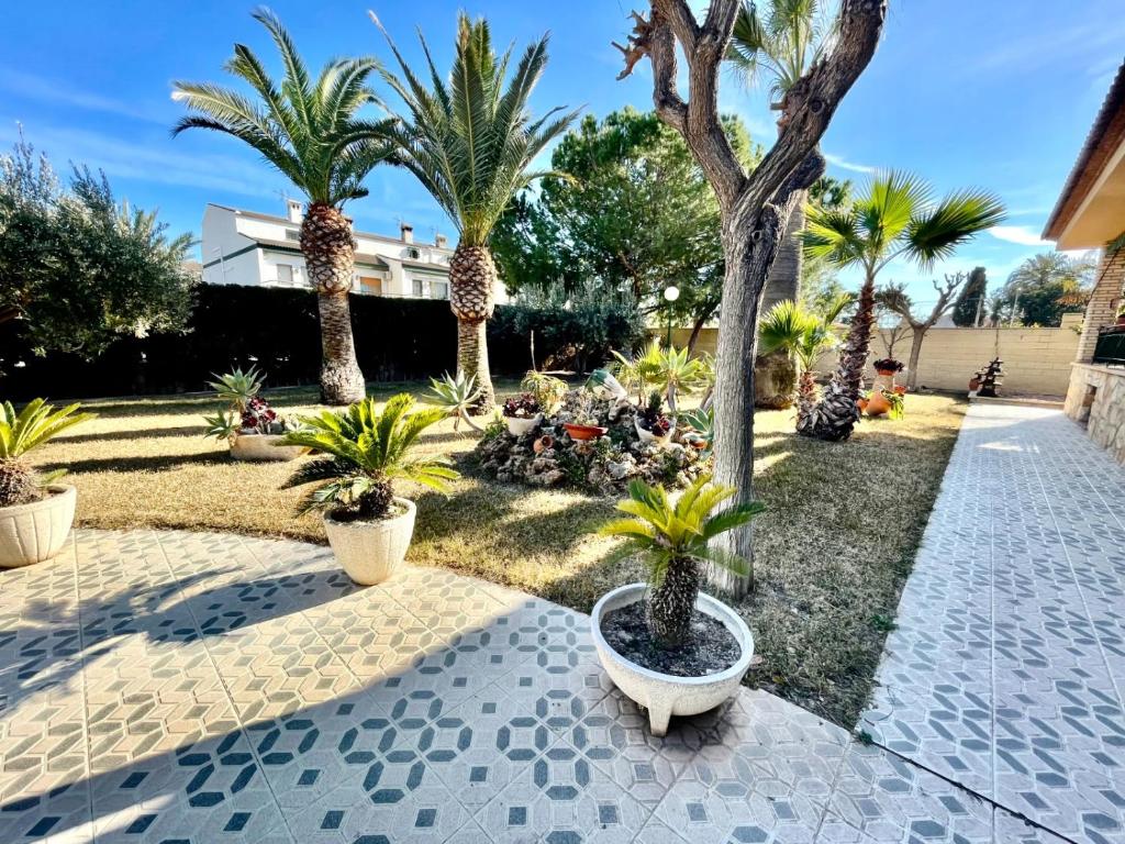 une cour avec des palmiers et une passerelle dans l'établissement Magnifique villa a San Juan Mutchavista playa, à El Campello