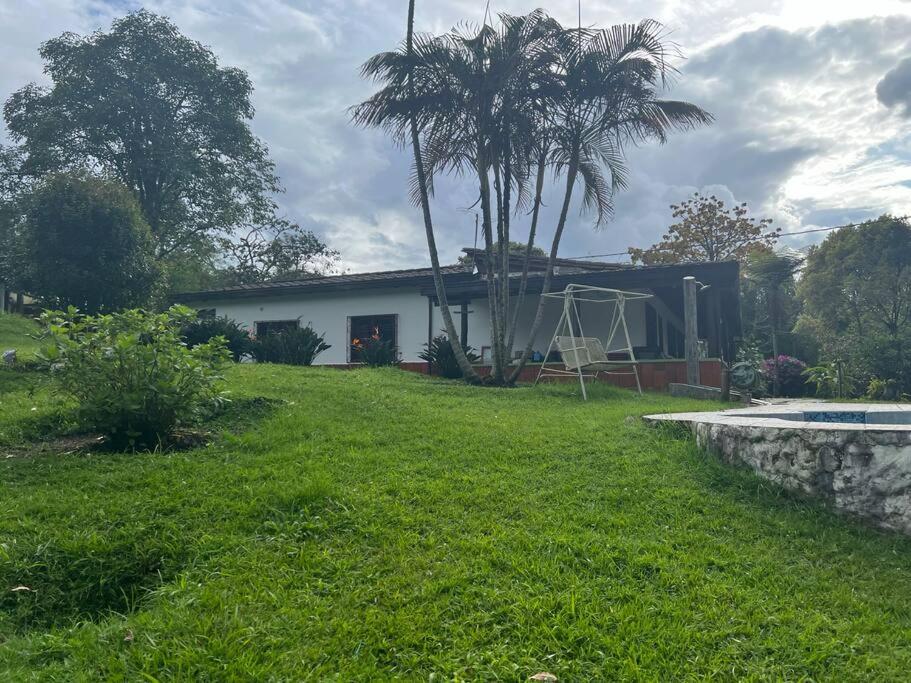 una casa con un patio con piscina y palmeras en Green farm, with dry/wet, and near infrared sauna, en Caldas
