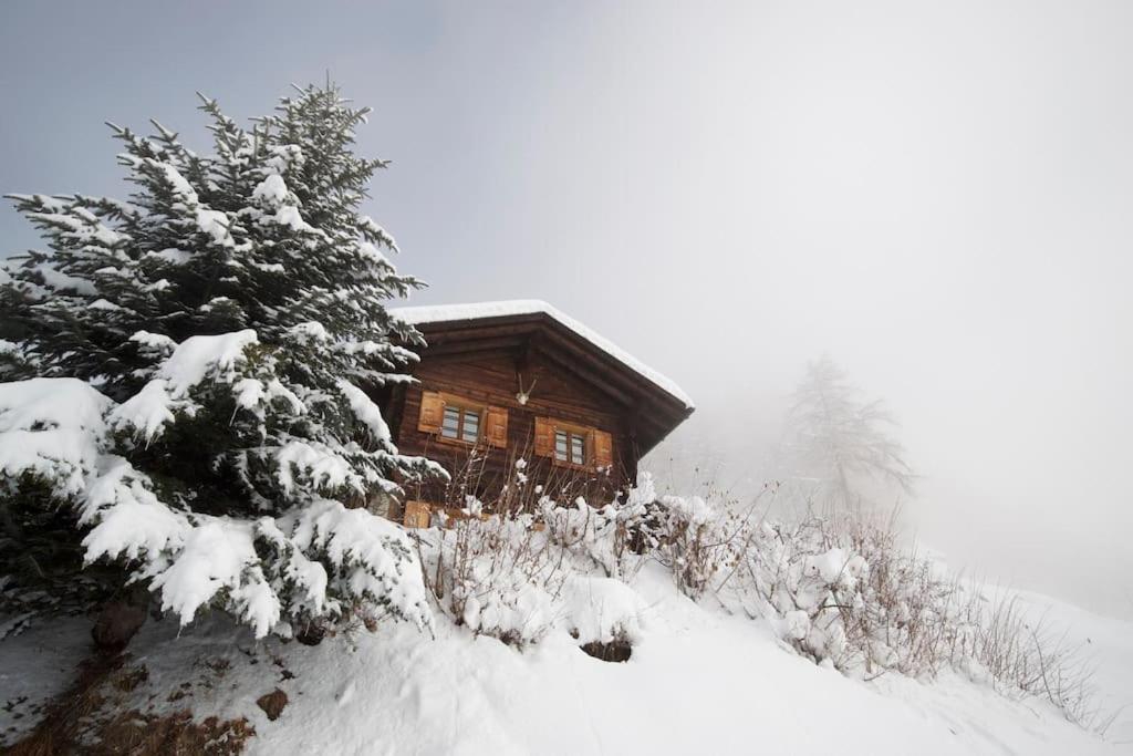 una cabaña de madera en la nieve con un árbol en Traditional chalet in the heart of nature, en Sarreyer