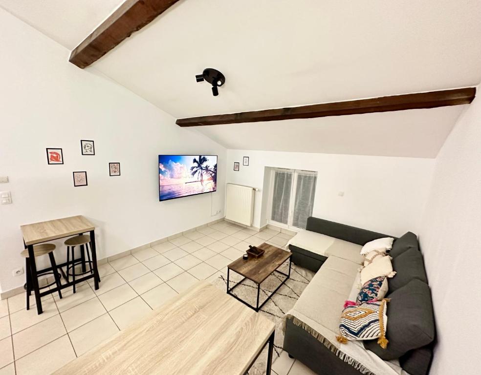 TV a/nebo společenská místnost v ubytování Spacieux & Charmant 2 chambres - Lyon Bron Eurexpo