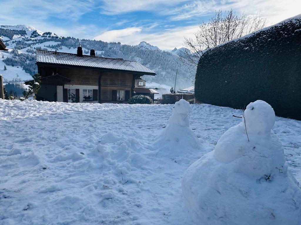 Chalet Solaria 2 bedrooms with mountain and garden view v zimě