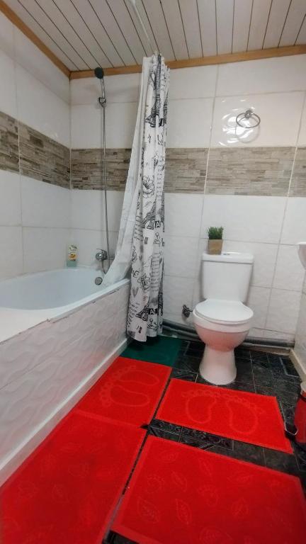 Un baño de Hostal Host Patagonia
