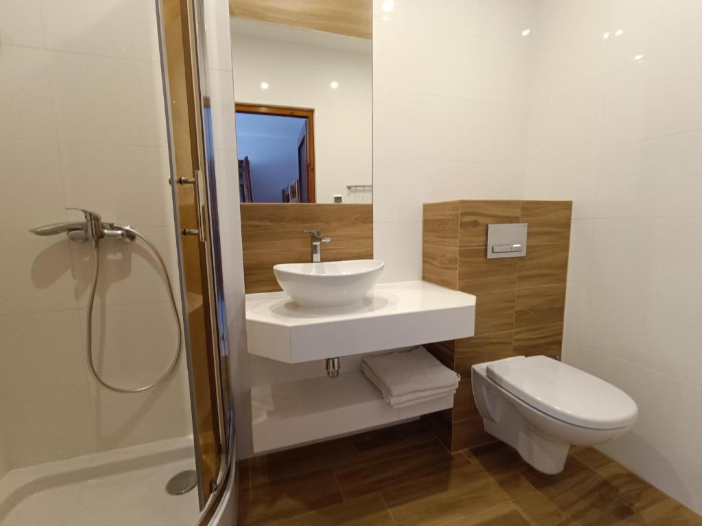 een badkamer met een wastafel, een toilet en een douche bij Willa Gorce in Ostrowsko