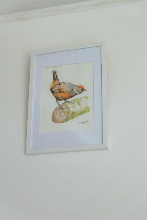 Fotografie z fotogalerie ubytování Hostal Viento Sur v destinaci Coihaique
