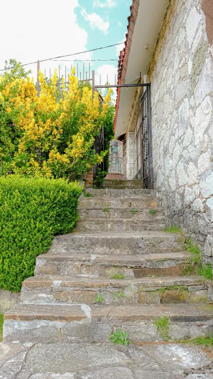 Fotografie z fotogalerie ubytování Cabañas- Casas España v destinaci Mineral del Chico
