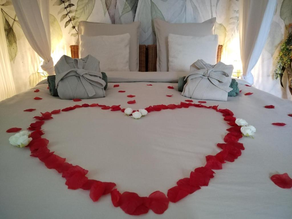 Postel nebo postele na pokoji v ubytování Chambre d'hôtes jacuzzi L'envol du coquelicot