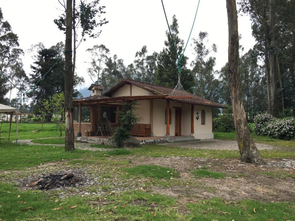 ein kleines Haus auf einem Feld mit Bäumen in der Unterkunft Cabaña Rumiwasi Imbabura in Otavalo