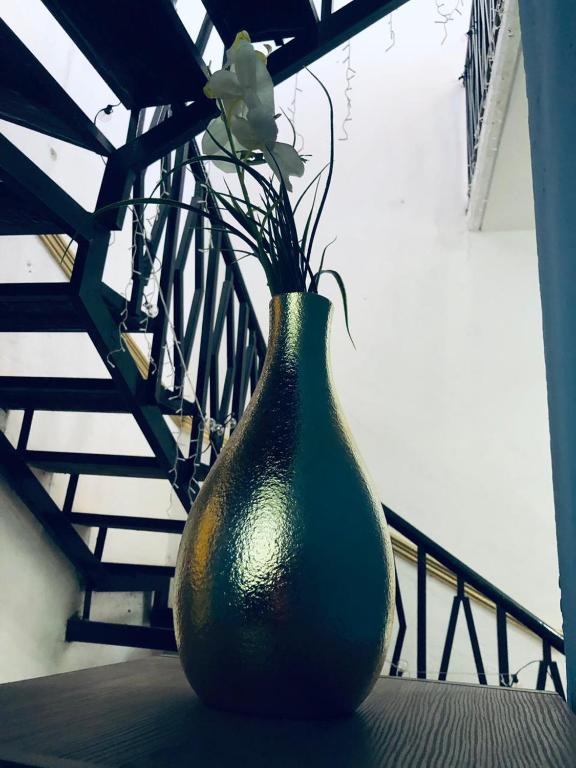Foto dalla galleria di San Fernando Hostal a Città di Oaxaca