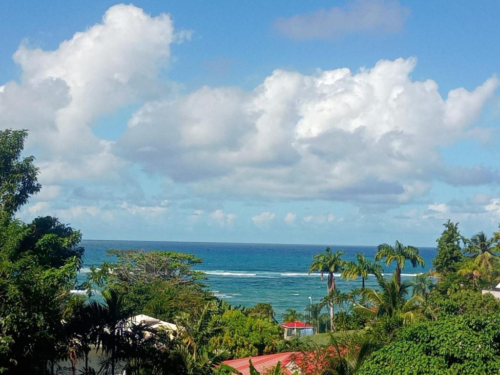 - une vue sur l'océan depuis un complexe arboré dans l'établissement Studio MESANGE TARTANE, à La Trinité