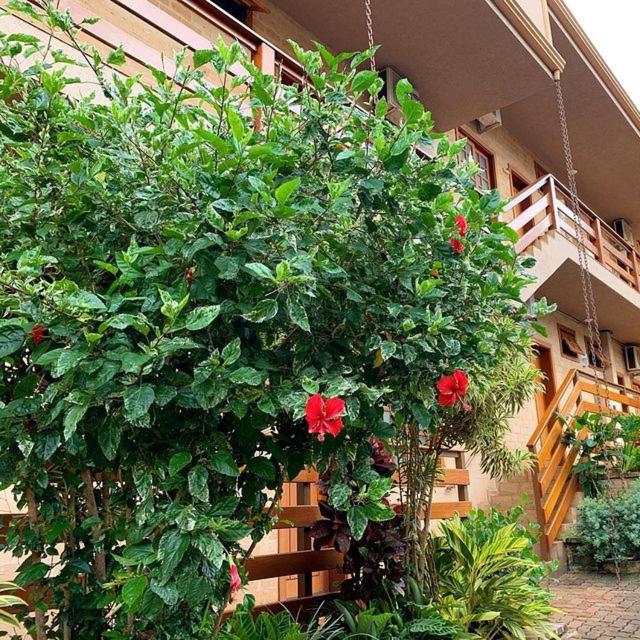 Zahrada ubytování Hotel Pousada Santa Rita