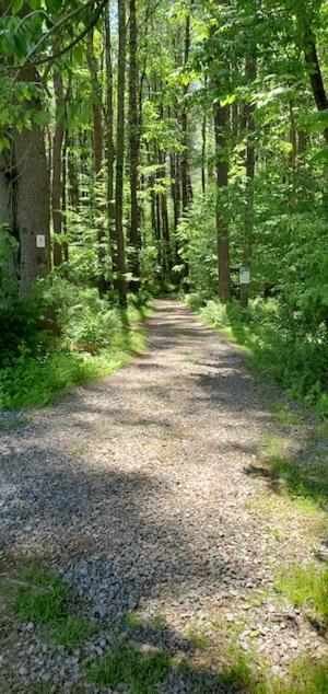 Paesaggio naturale nelle vicinanze del bed & breakfast