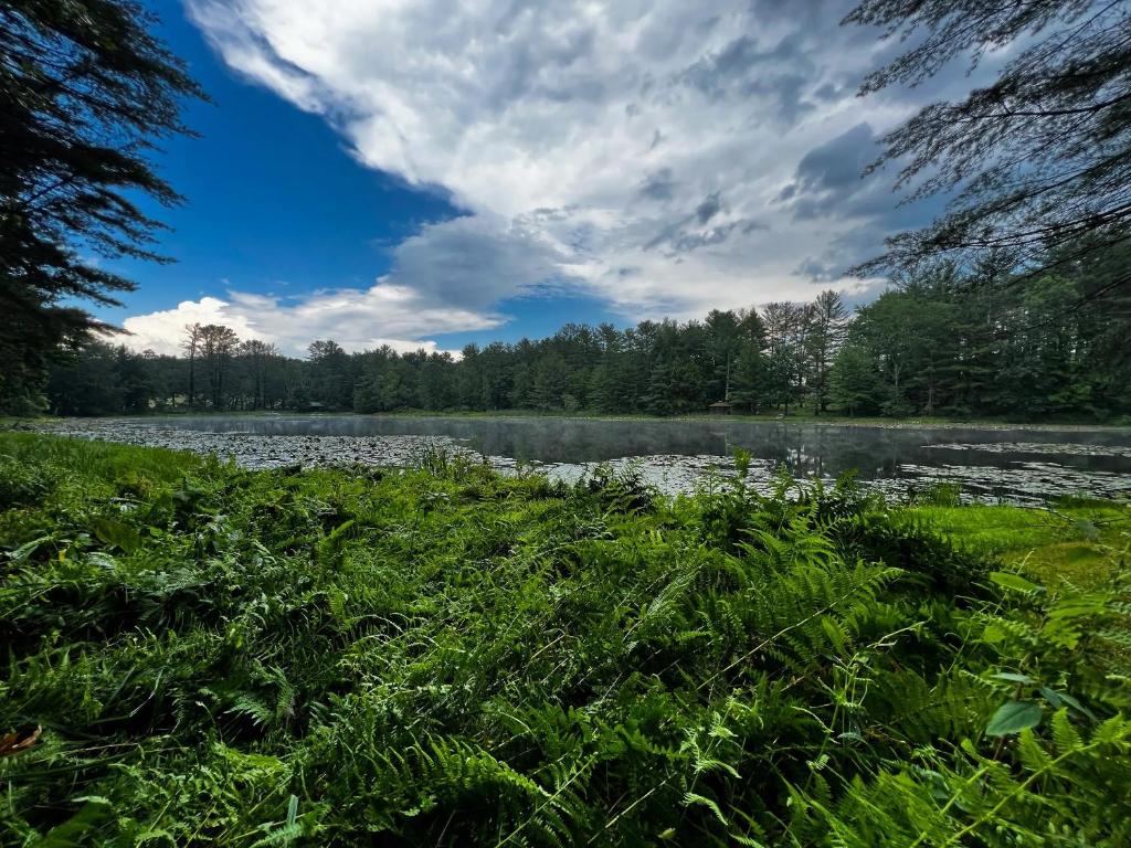 Paesaggio naturale nelle vicinanze del bed & breakfast