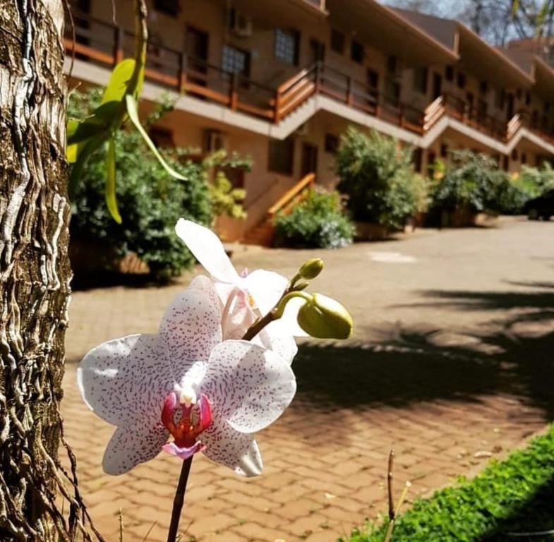 Zahrada ubytování Hotel Pousada Santa Rita