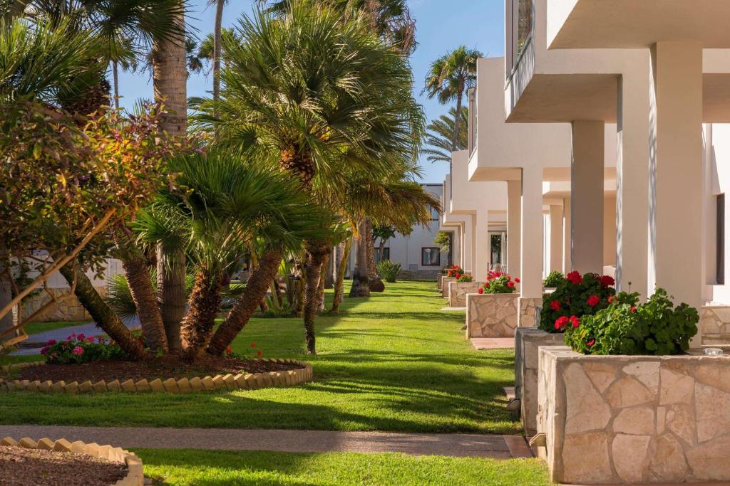 a walkway in front of a building with palm trees at Alua Suites Fuerteventura - All Inclusive in Corralejo