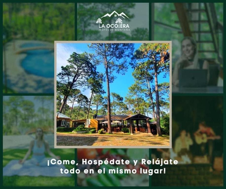 un collage de photos d'un arbre et d'une maison dans l'établissement La ocotera hotel de montaña, à San Marcos