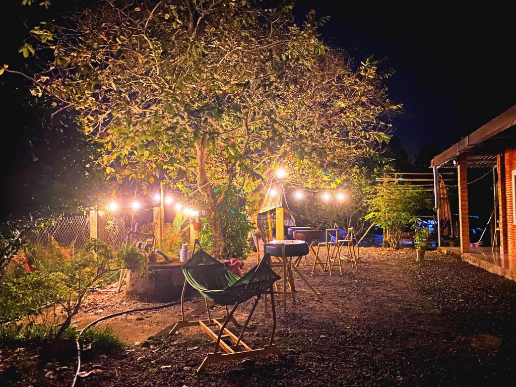 einen Garten in der Nacht mit Stühlen und Lichtern in der Unterkunft Cat Tien Backpackers Hostel in Cat Tien