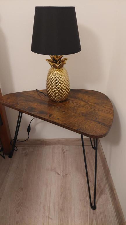 Fotografie z fotogalerie ubytování Apartmán Šurany v destinaci Šurany