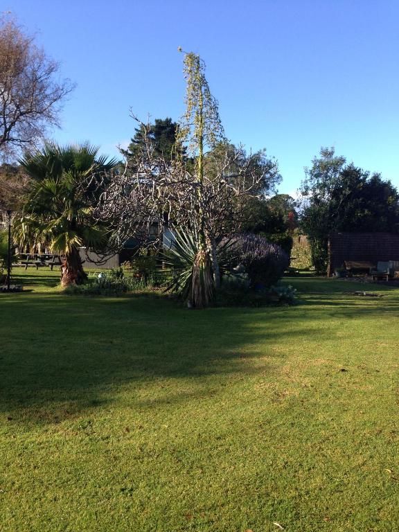 Tui Lodge - Resim 27