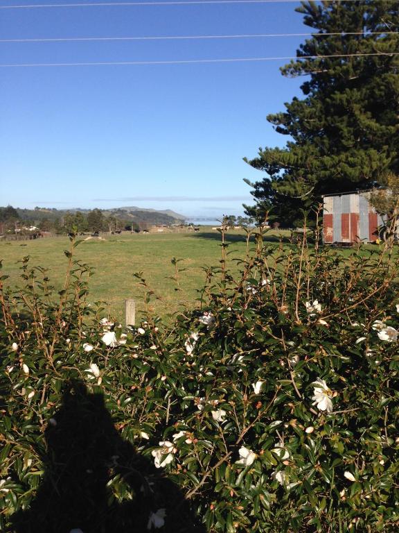 Tui Lodge - Resim 26