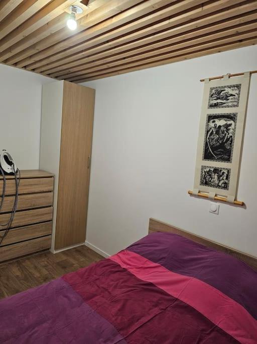 Katil atau katil-katil dalam bilik di Big family apartment in 10min from Disney Paris