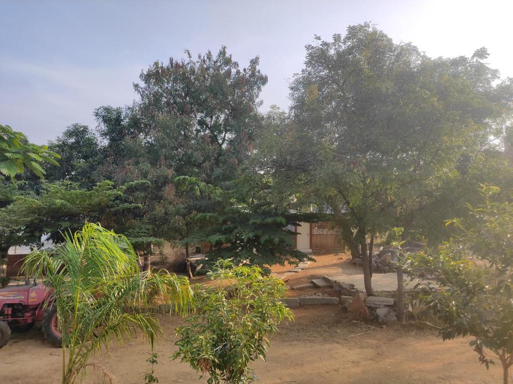 a group of trees in front of a house at Adhya Home Stay Hampi in New Hampi