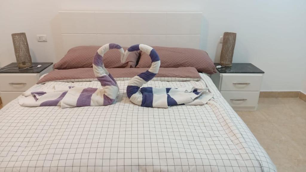 CASA LOKO Guest House - 14