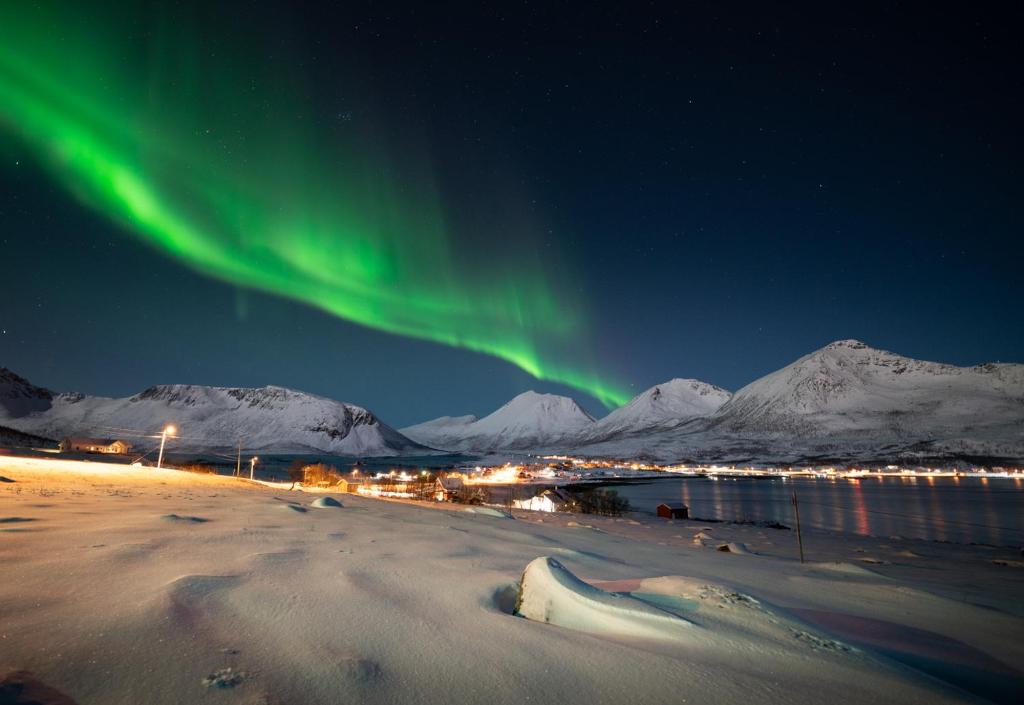une image de l'aurore dansant dans le ciel dans l'établissement Tromtind Lodge, à Tromsø