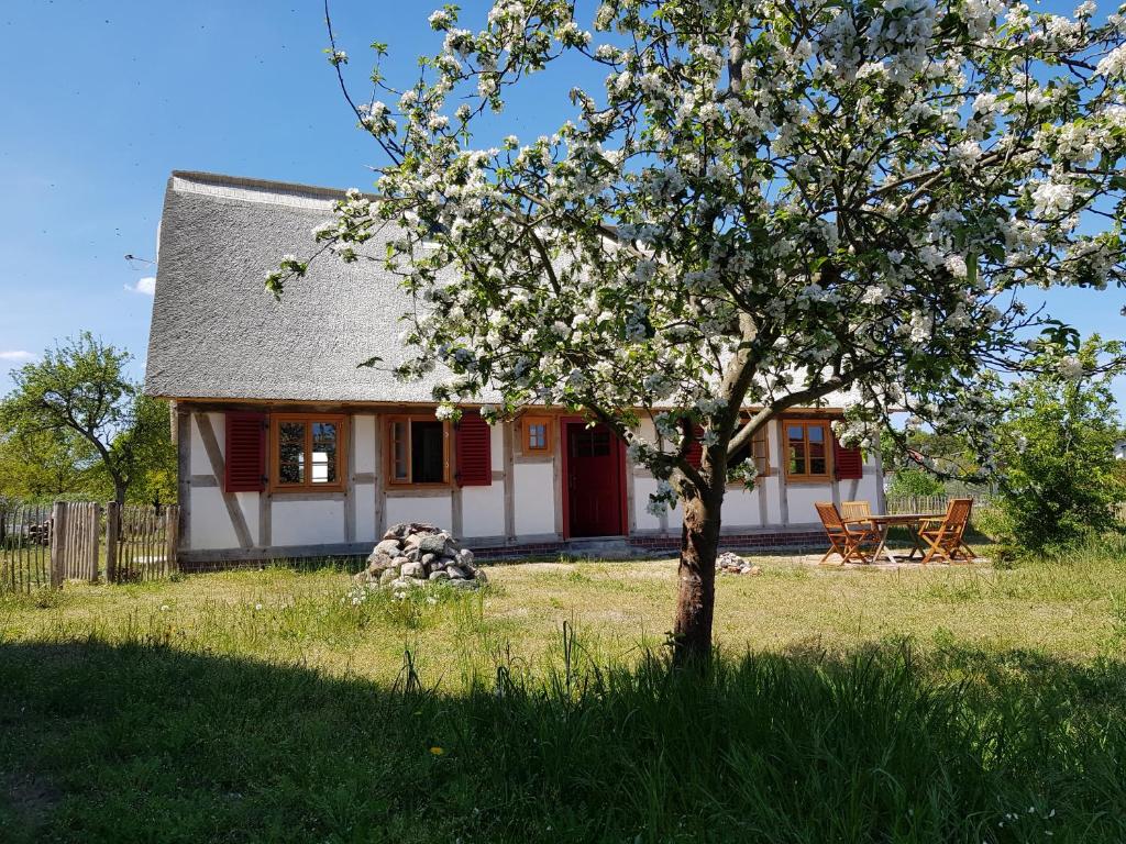 una piccola casa con un albero di fronte di Fischerhus Lütt Hauke 69 qm Traudel a Altwarp