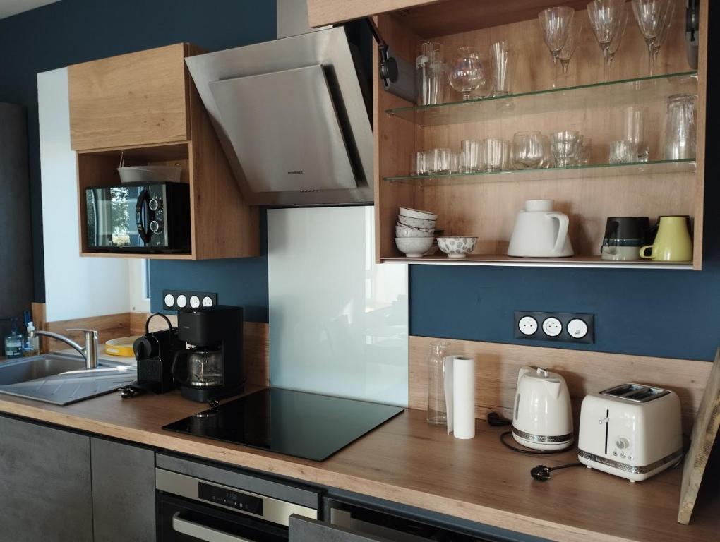 Kuchyňa alebo kuchynka v ubytovaní Maison de Kerangall Brest appartement jardin et parking