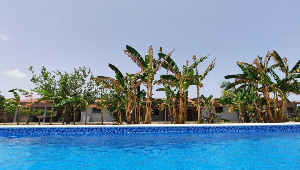 a swimming pool with palm trees in the background at Chez Nous Chez Vous in Toubakouta