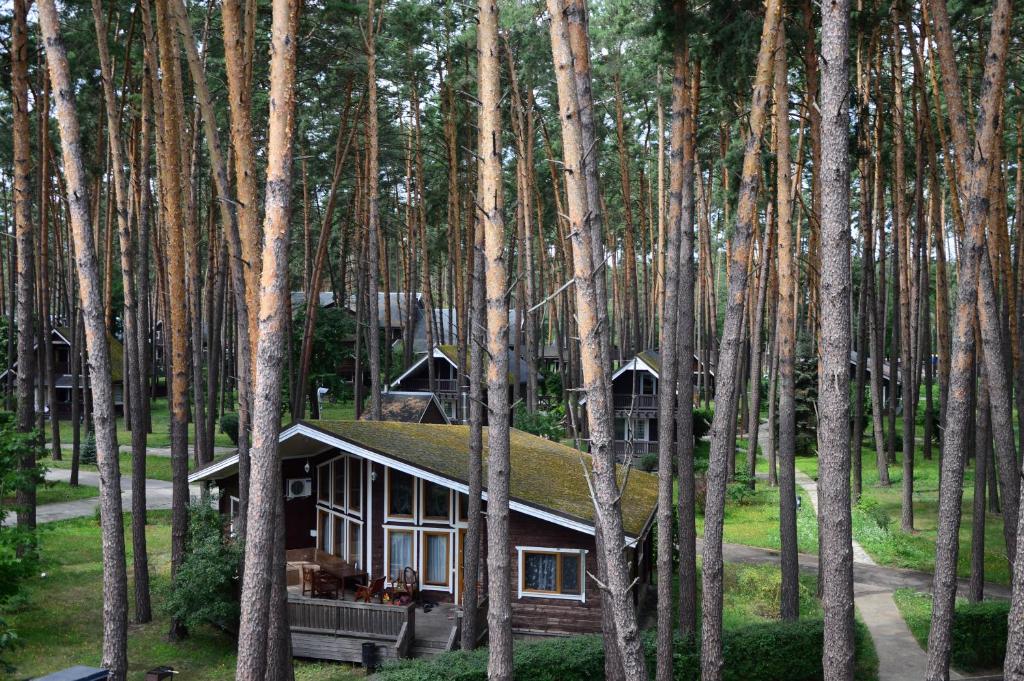 Suitetrails - Glіbіvka Family Park