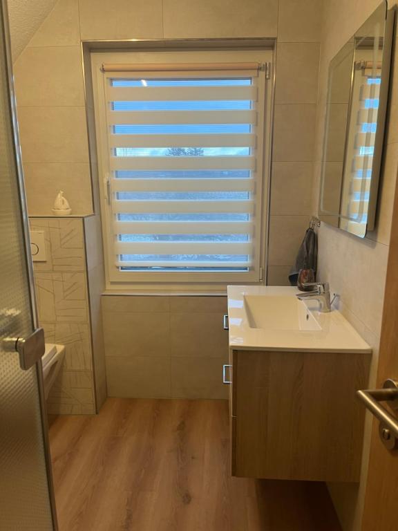 a bathroom with a sink and a window with a mirror at Ferienwohnung LoWu in Hagen