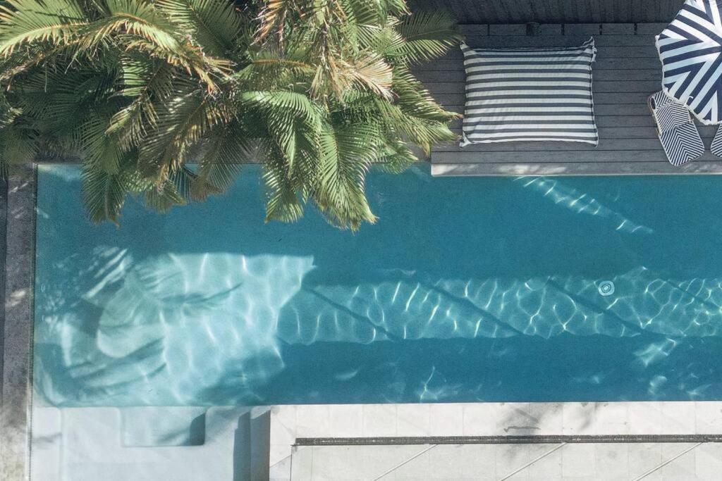 uma piscina com uma palmeira em frente em 14m Mineral Pool + Paddle Boards + Creek Access em Kingscliff