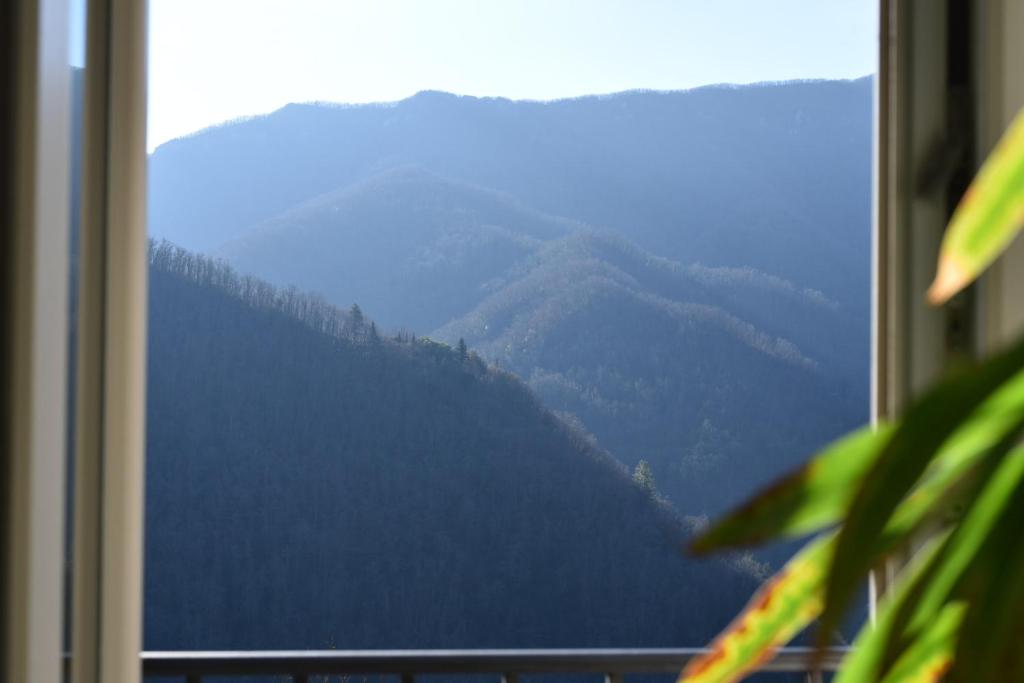 Nespecifikovaný výhled na hory nebo výhled na hory při pohledu z bed and breakfast