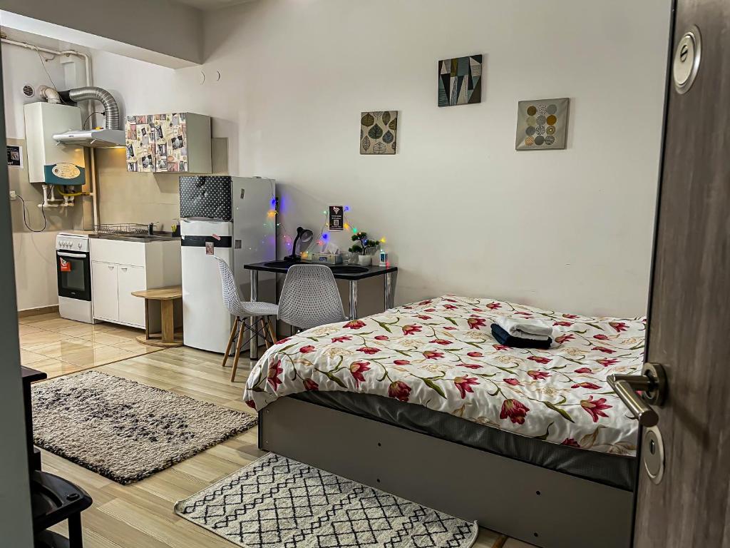 Palas Mall Studios - La 2 minute de Palas Mall si Palatul Culturii - Appartement D'une Chambre