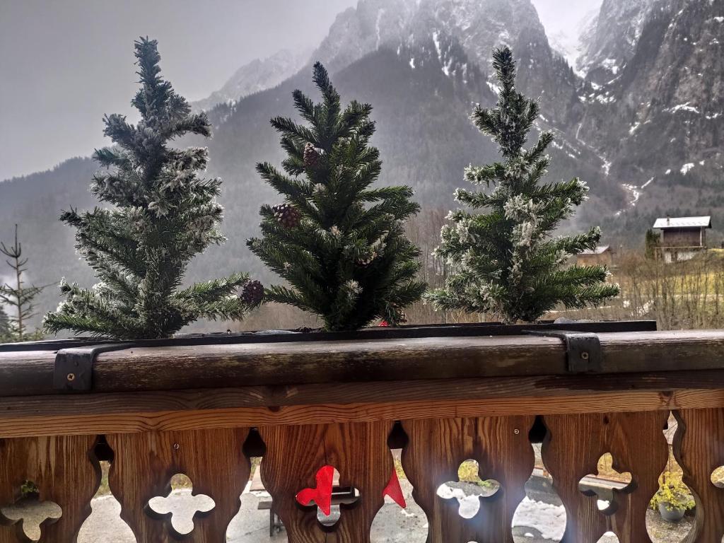 four christmas trees on a ledge with mountains in the background at Les Chemins du Léman in Novel