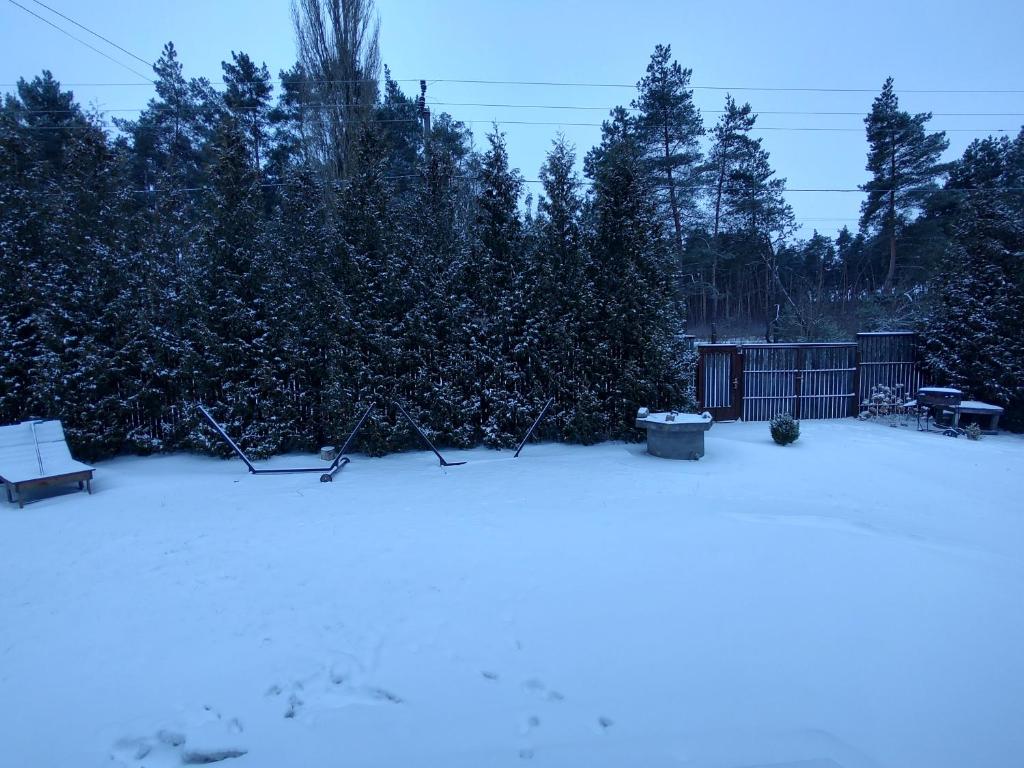 einen schneebedeckten Hof mit einem Zaun und Bäumen in der Unterkunft садиба доличі in Bovkun