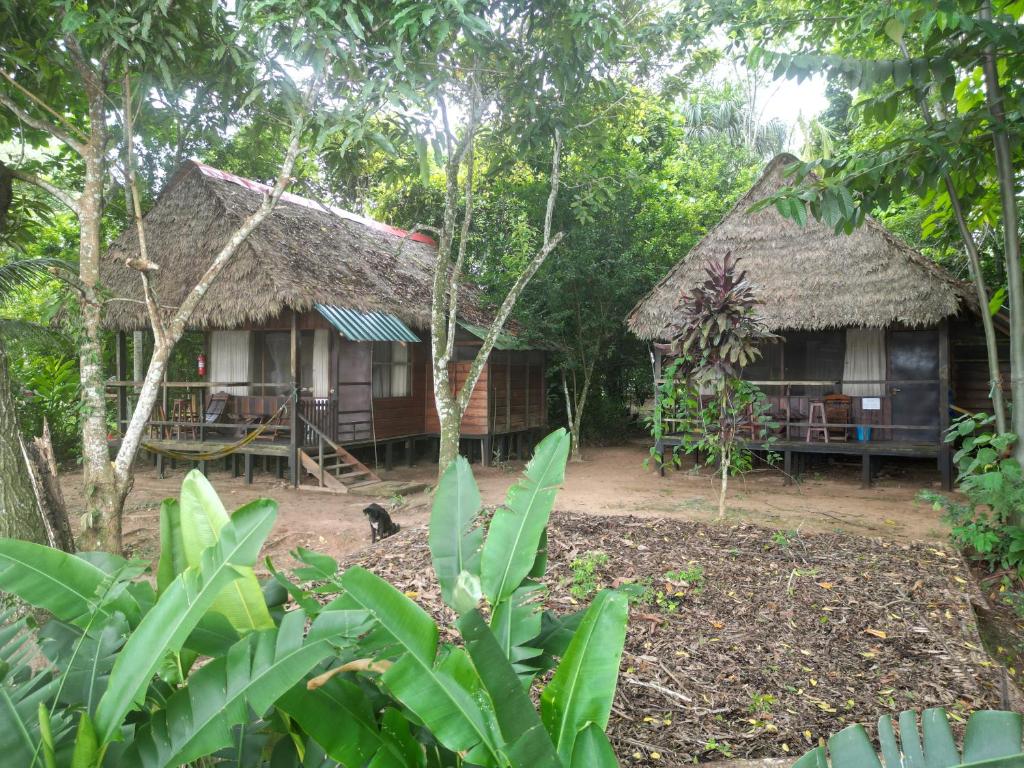 una casa en el bosque con un pájaro delante de ella en Tambopata River en Puerto Maldonado