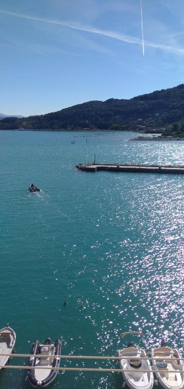 a group of boats in a large body of water at Rosa del Mare in Portovenere