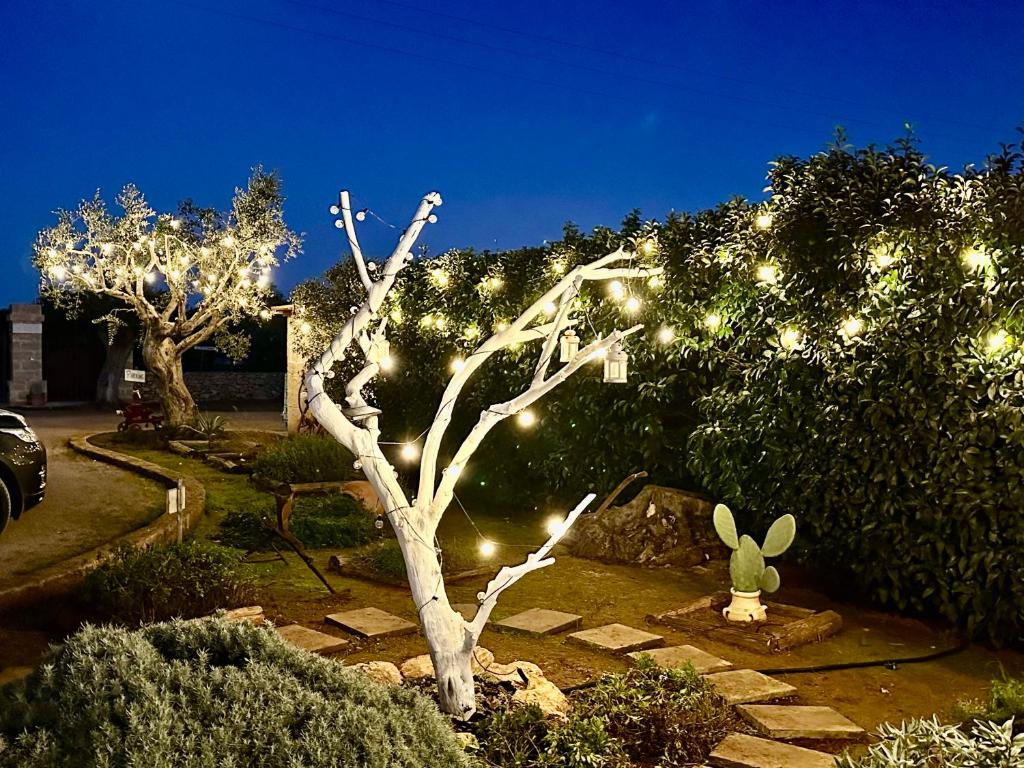 un albero di Natale illuminato in un giardino di notte di Borgo Rosso Terra a Gallipoli