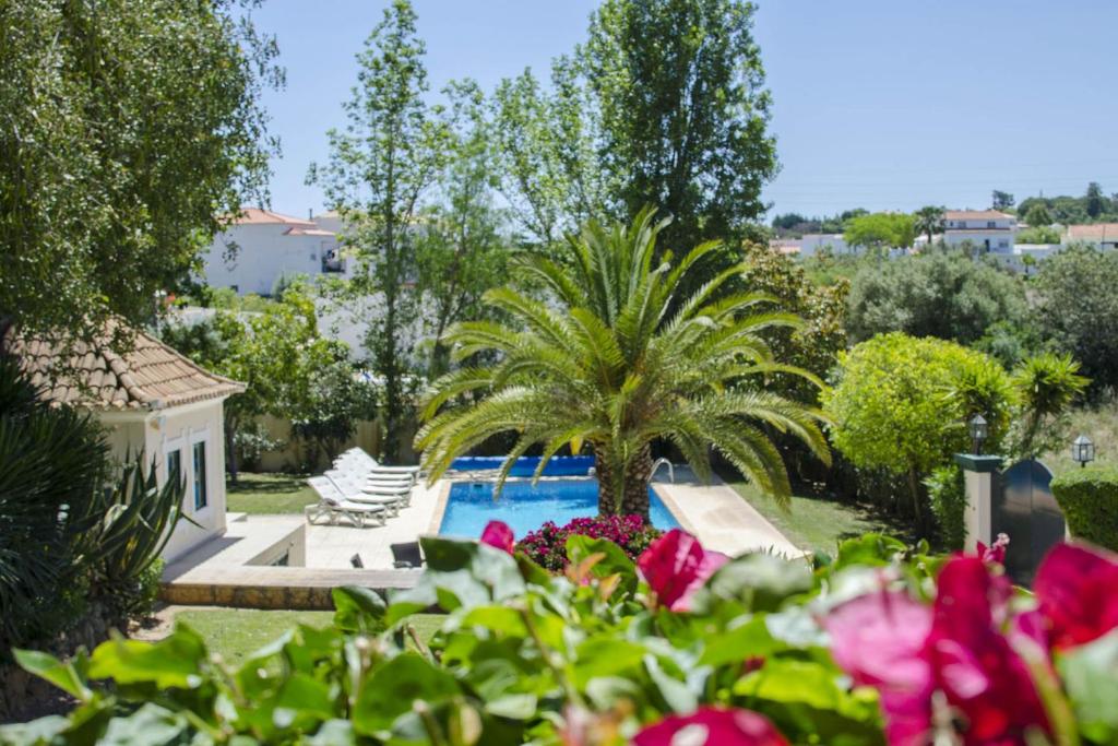 een tuin met een palmboom en een zwembad bij Villa Caravela in Almancil