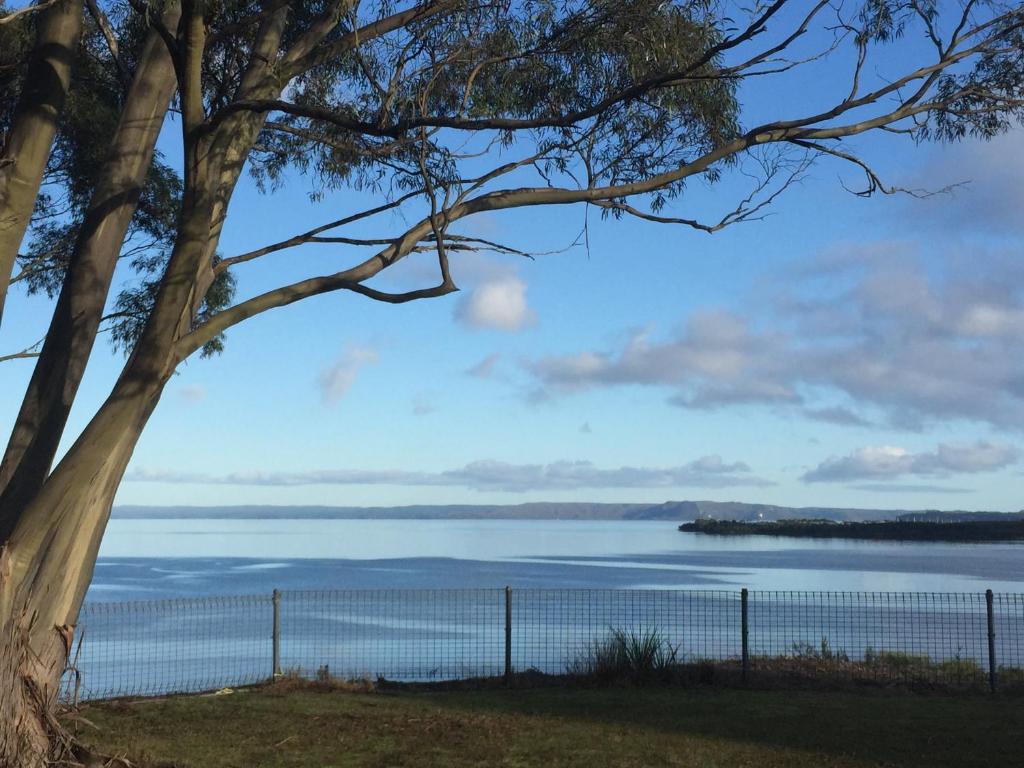 a tree next to a fence and a body of water at Glenaire Apartments at Frazer St in Strahan